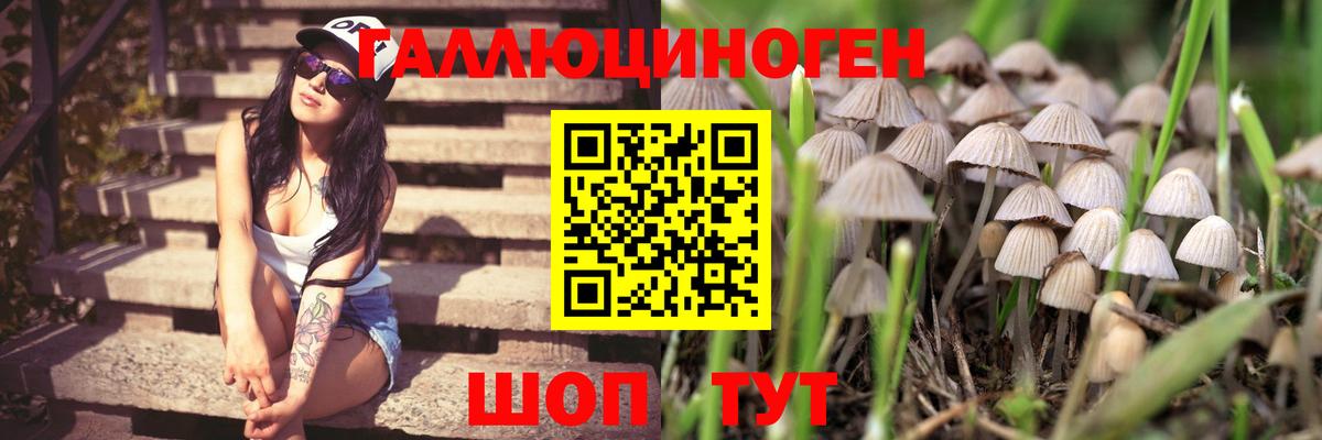 Псилоцибиновые грибы Magic Shrooms Россия